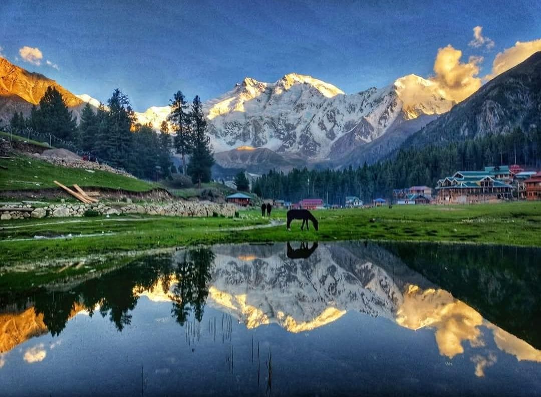 Fairy Meadows Trek - 2
