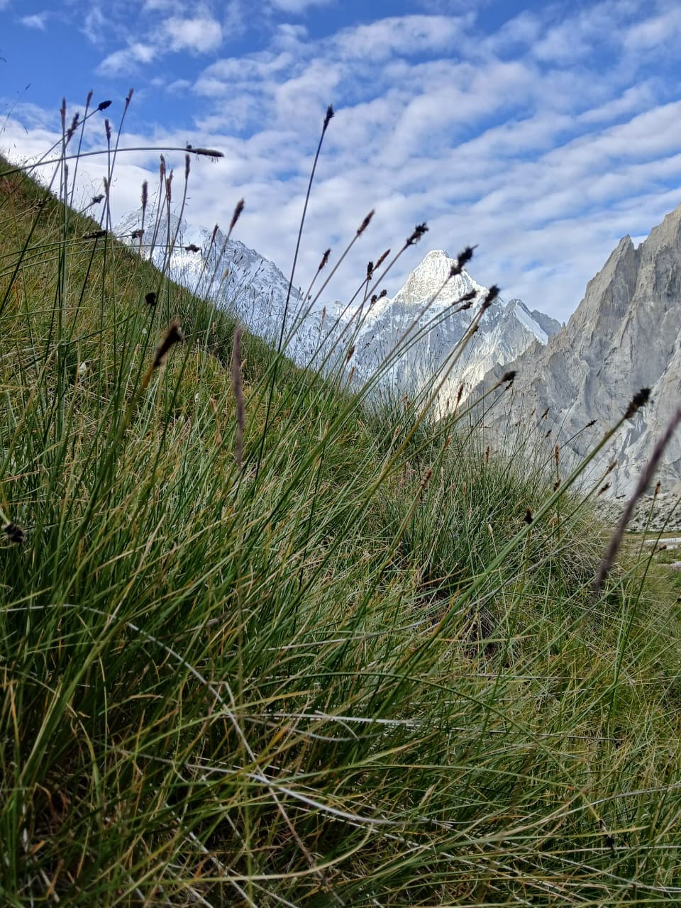 K7 Peak Expedition - 3